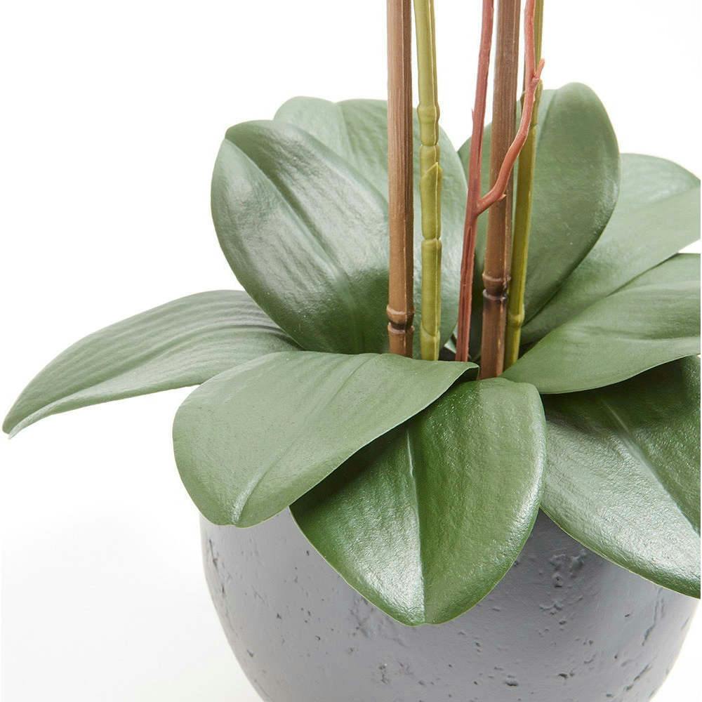 Artificial White Double Stem Orchid