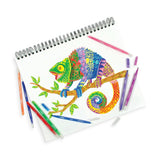 Switch-Eroo Color Changing Markers - Classic - Set of 12