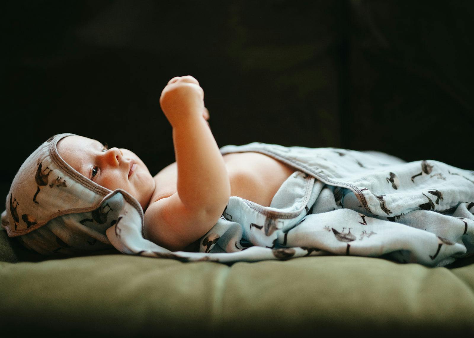 Goose Bamboo Hooded Swaddle Blanket