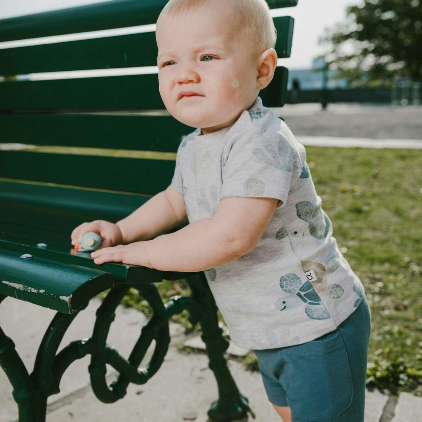 Jersey T-Shirt And Organic Cotton Jersey Shorts Set Grey Mix Turtle Print And Medium Blue