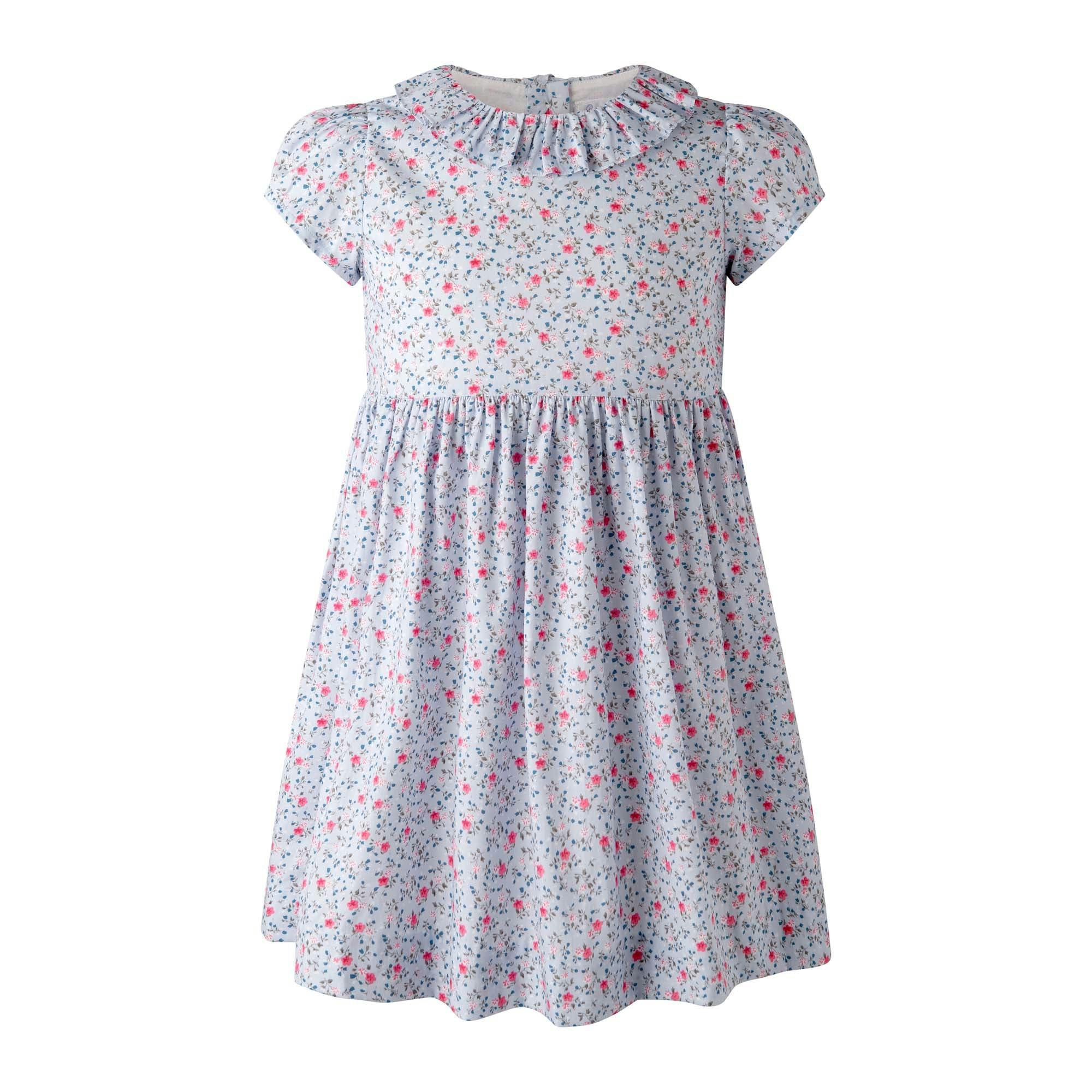 Mini Bouquet Frill Collar Dress