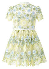 Vienna Embroidered Mini Dress