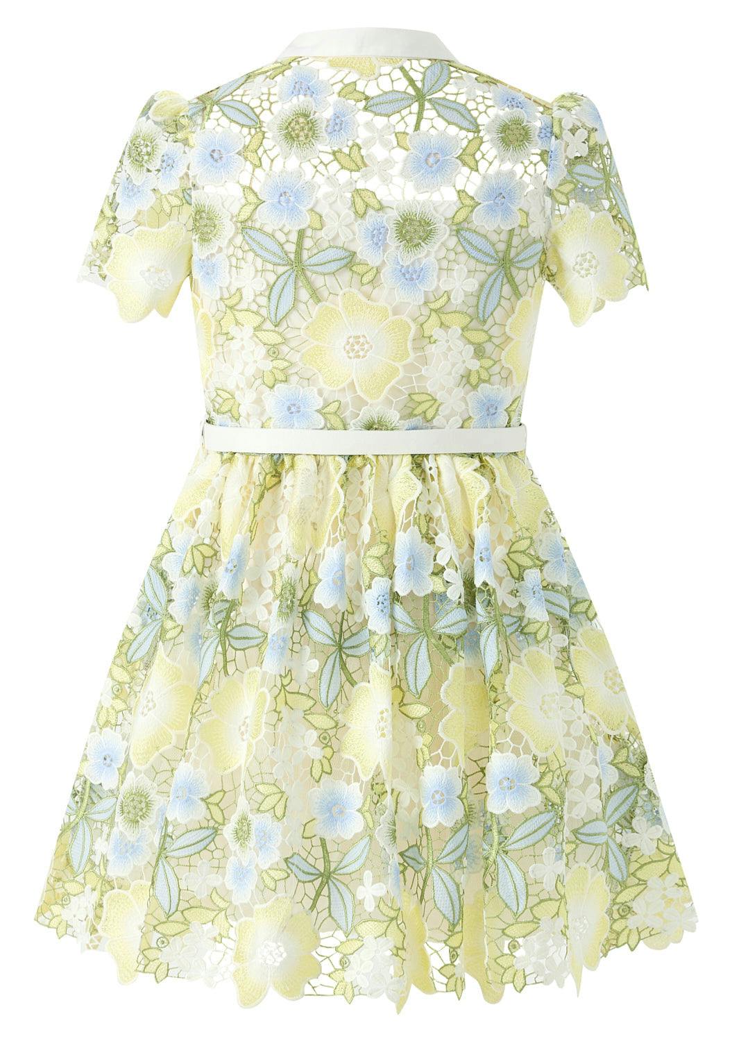 Vienna Embroidered Mini Dress