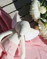Michel the Elephant