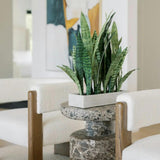 Rectangular Snake Plant Arrangement in Gray Pot