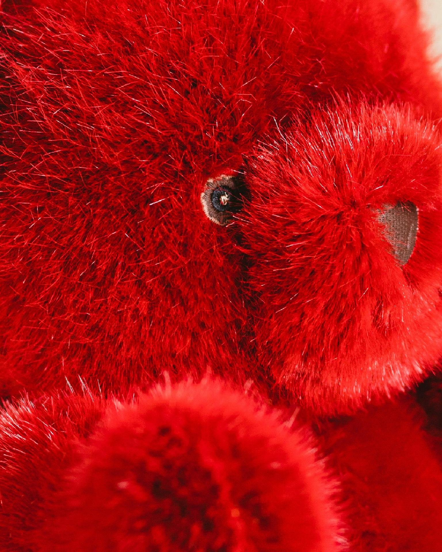 Robert the Bear | Red