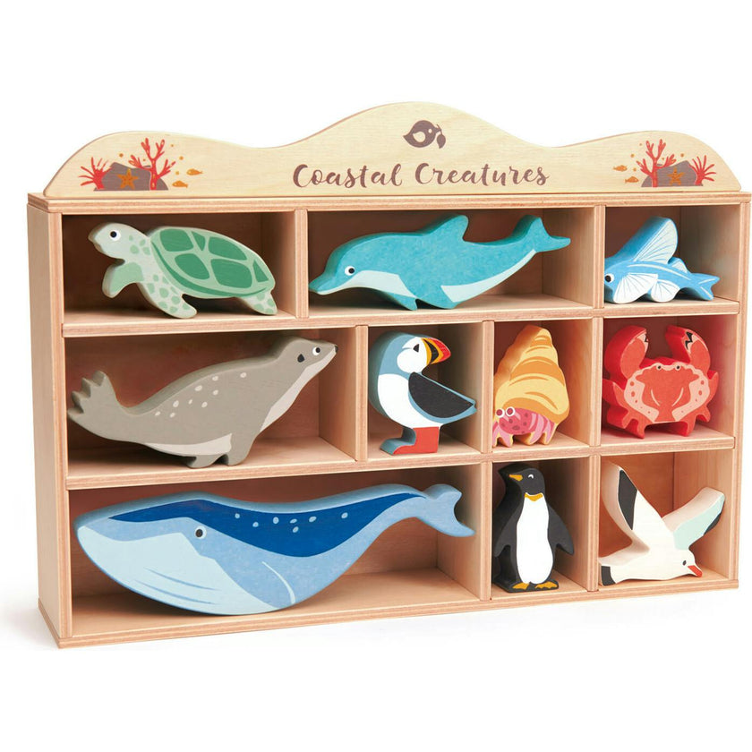 Coastal Animals