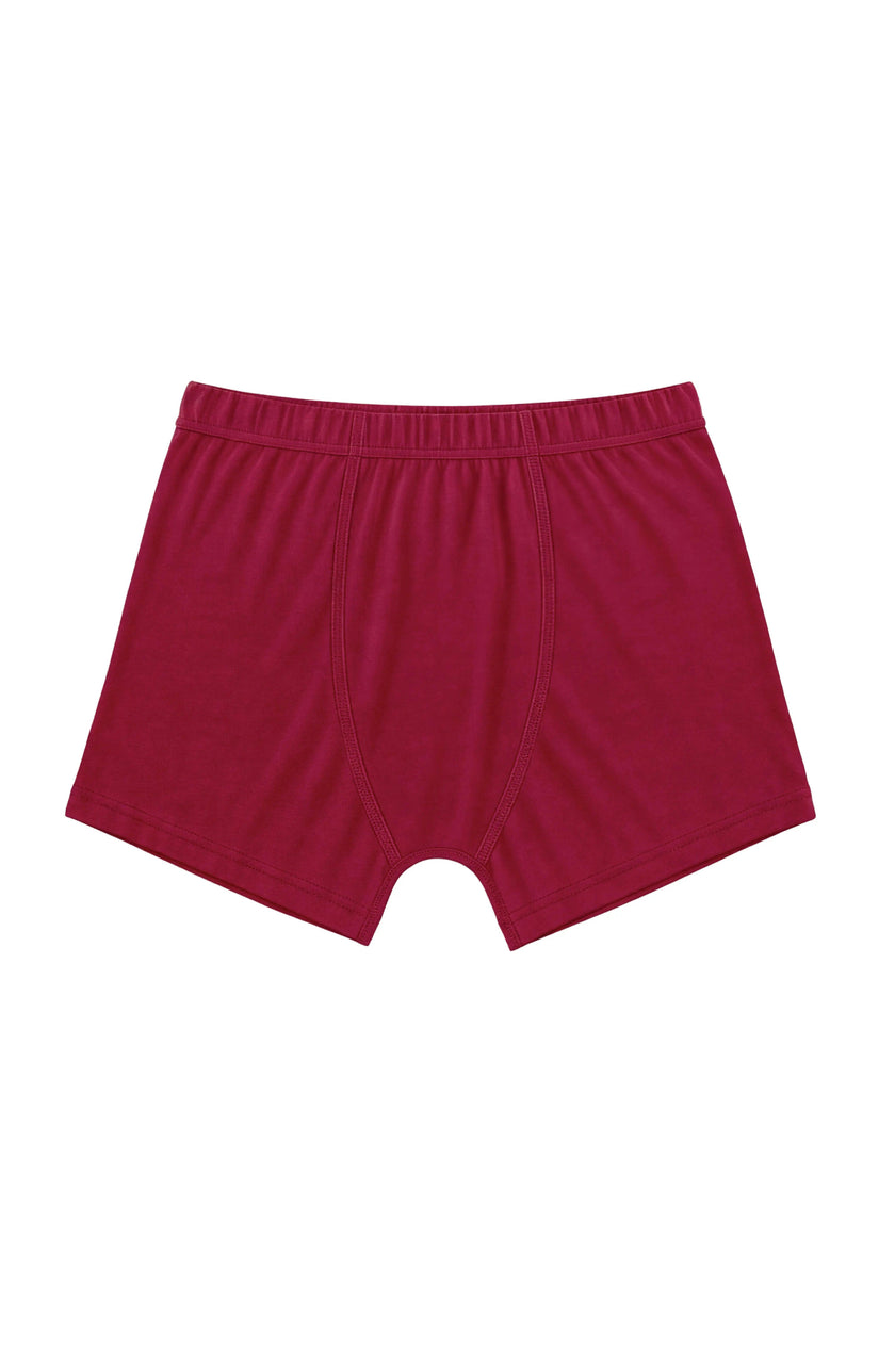 3 Pcs Set Boys Boxer Briefs - Sports