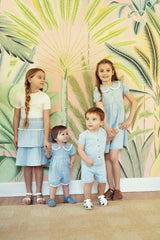 Denim Cotton Dress