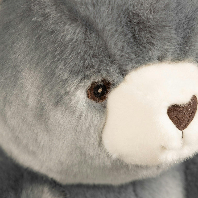 Robert the Bear | Blue-Grey | Scottish Print