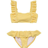 Sunshine Stripe Frilled Bikini