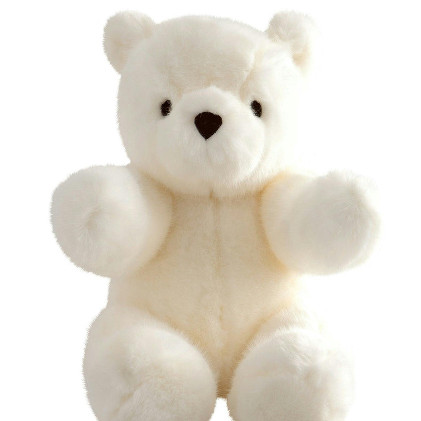 Robert the Bear | Dallas White