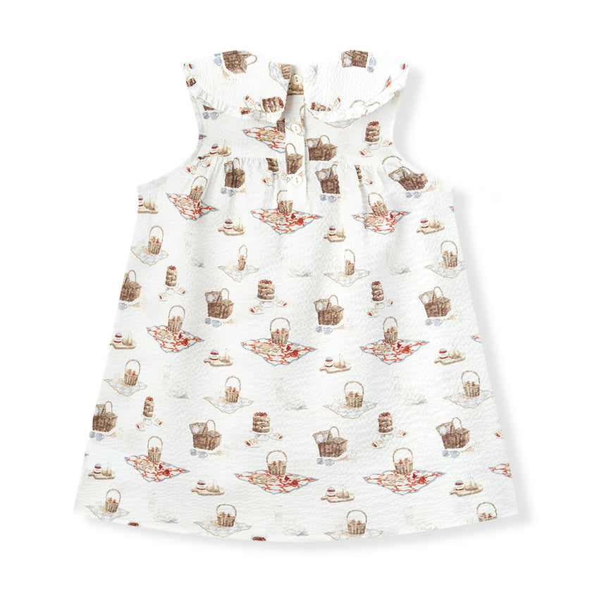 Picnic Ruffle Collar Dress